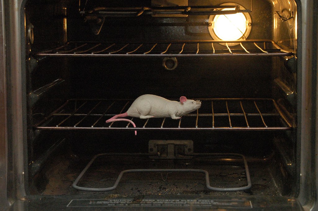remove mice in oven