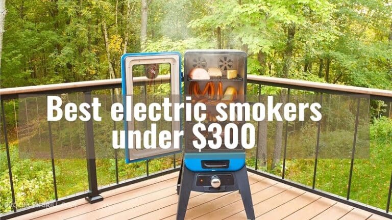 Top 10 best electric smokers under $300 in 2022