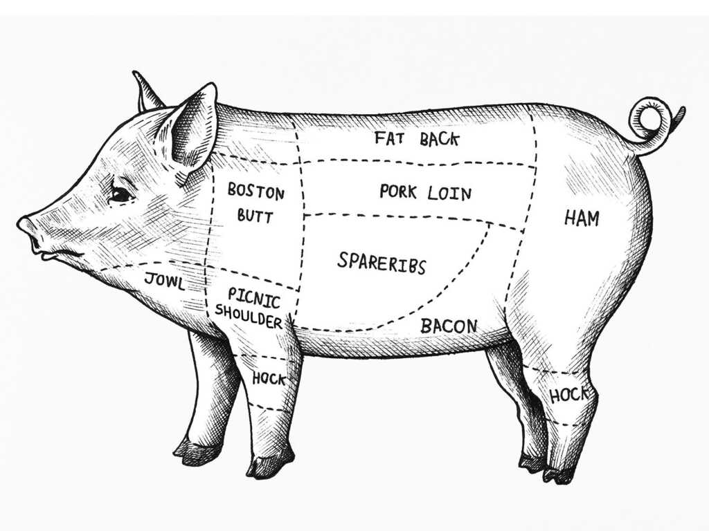 difference between pork shoulder and pork butt