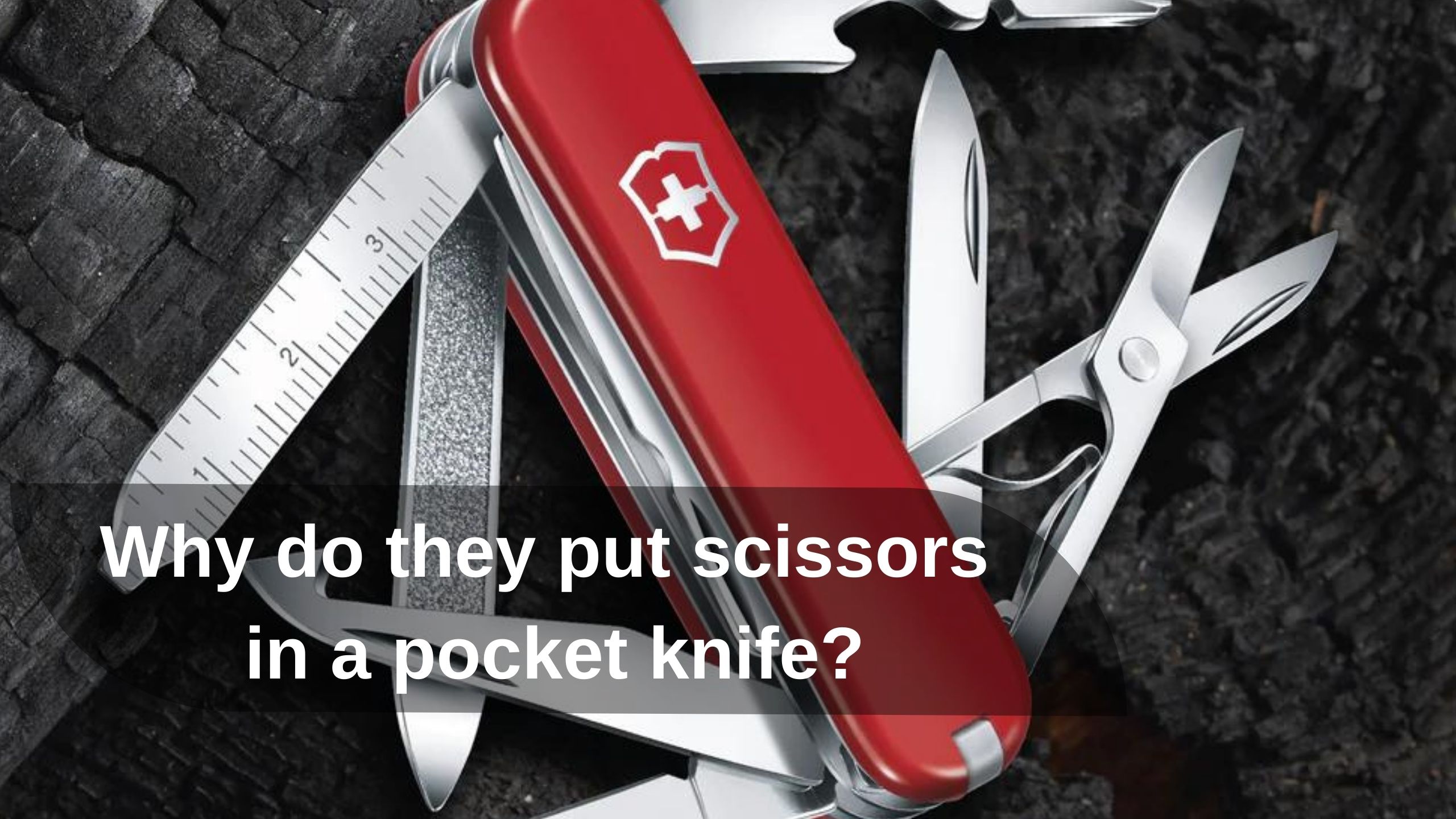 Why do they put scissors in a pocket knife?